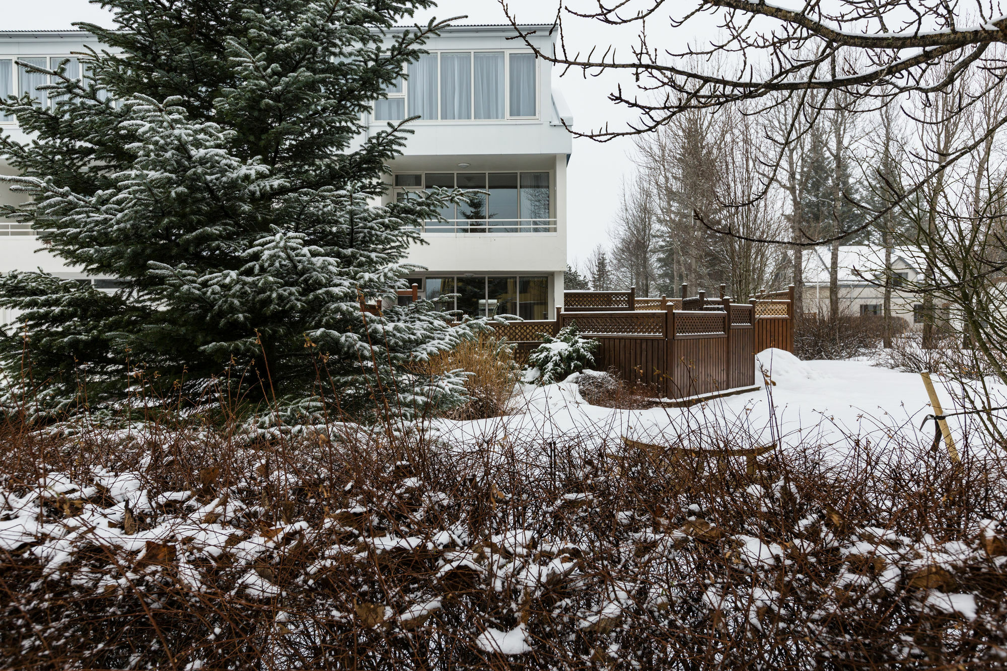 Guesthouse Garun Skolavellir Селфосс Экстерьер фото